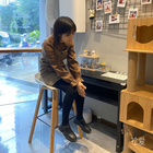 你午睡了嗎