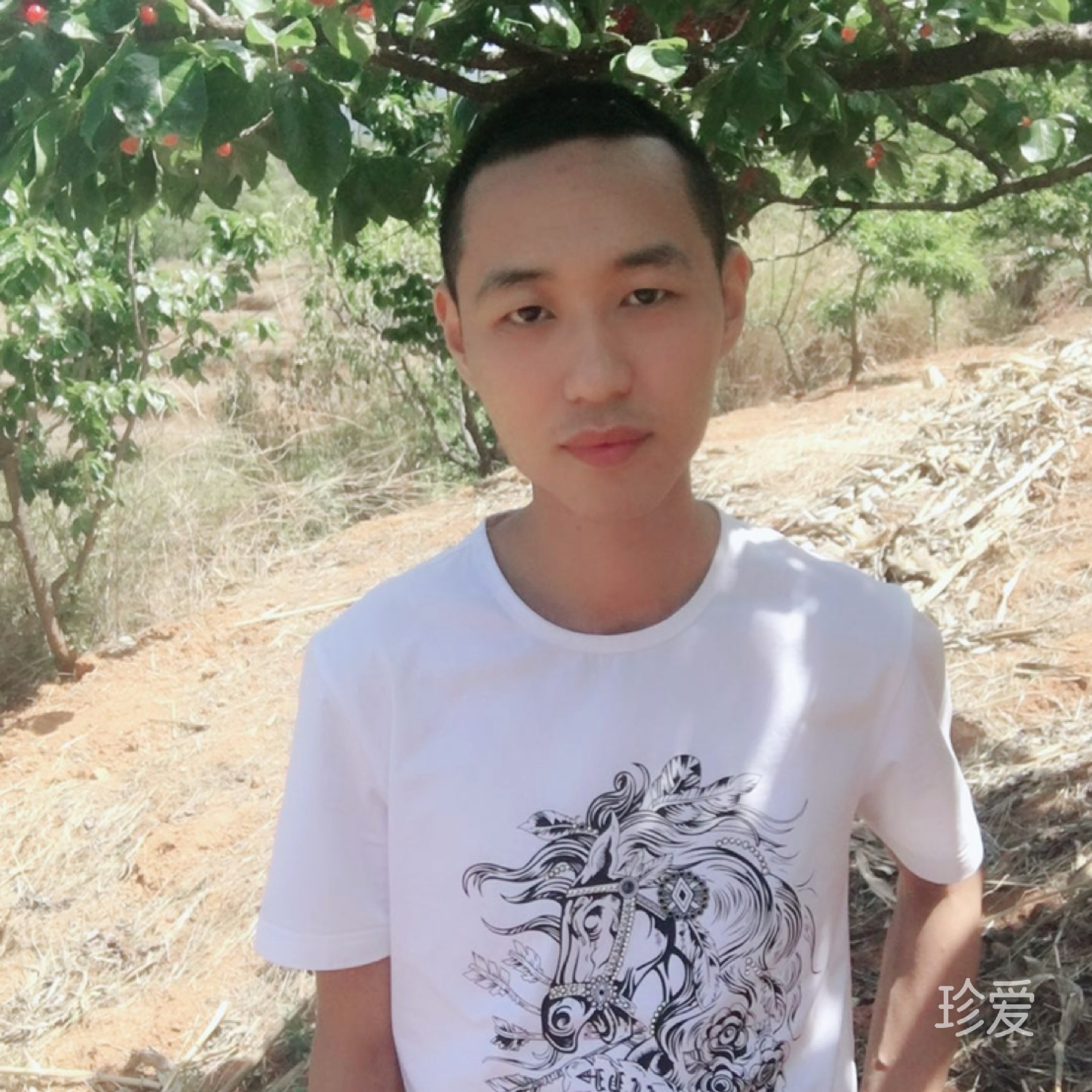 海浪的心