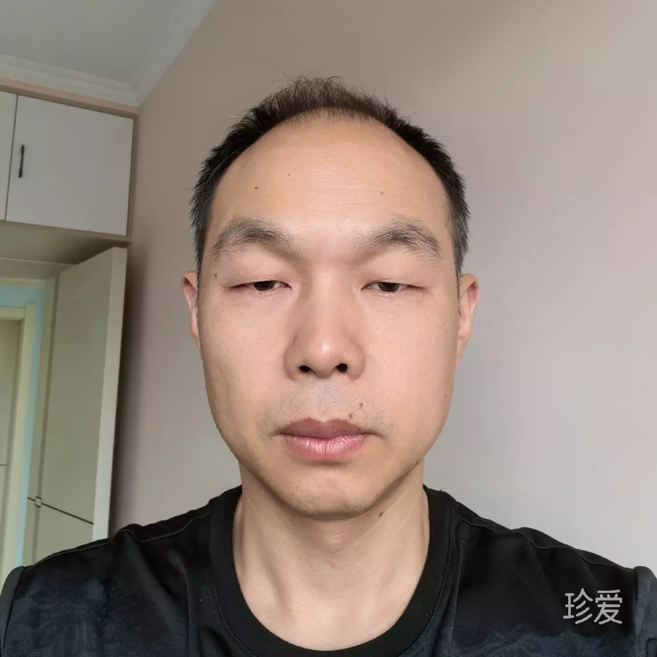 漂泊的猴