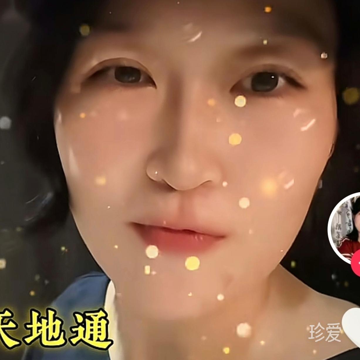 月光下的凤尾竹