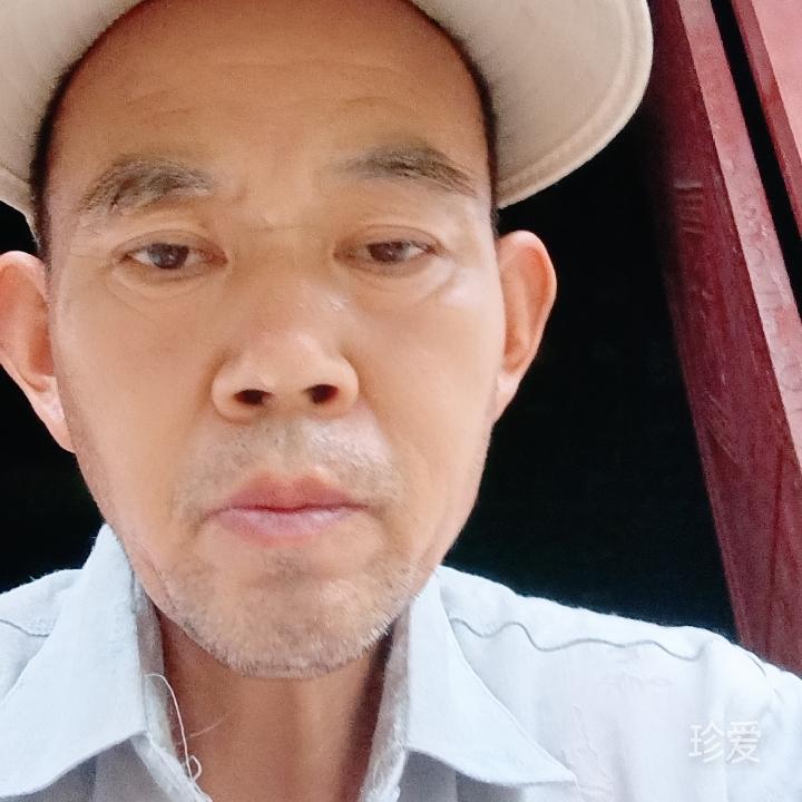 夏天依旧