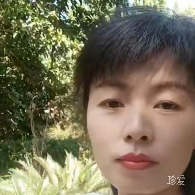 我在找另一半的我