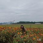 時(shí)光少女依舊藍(lán)