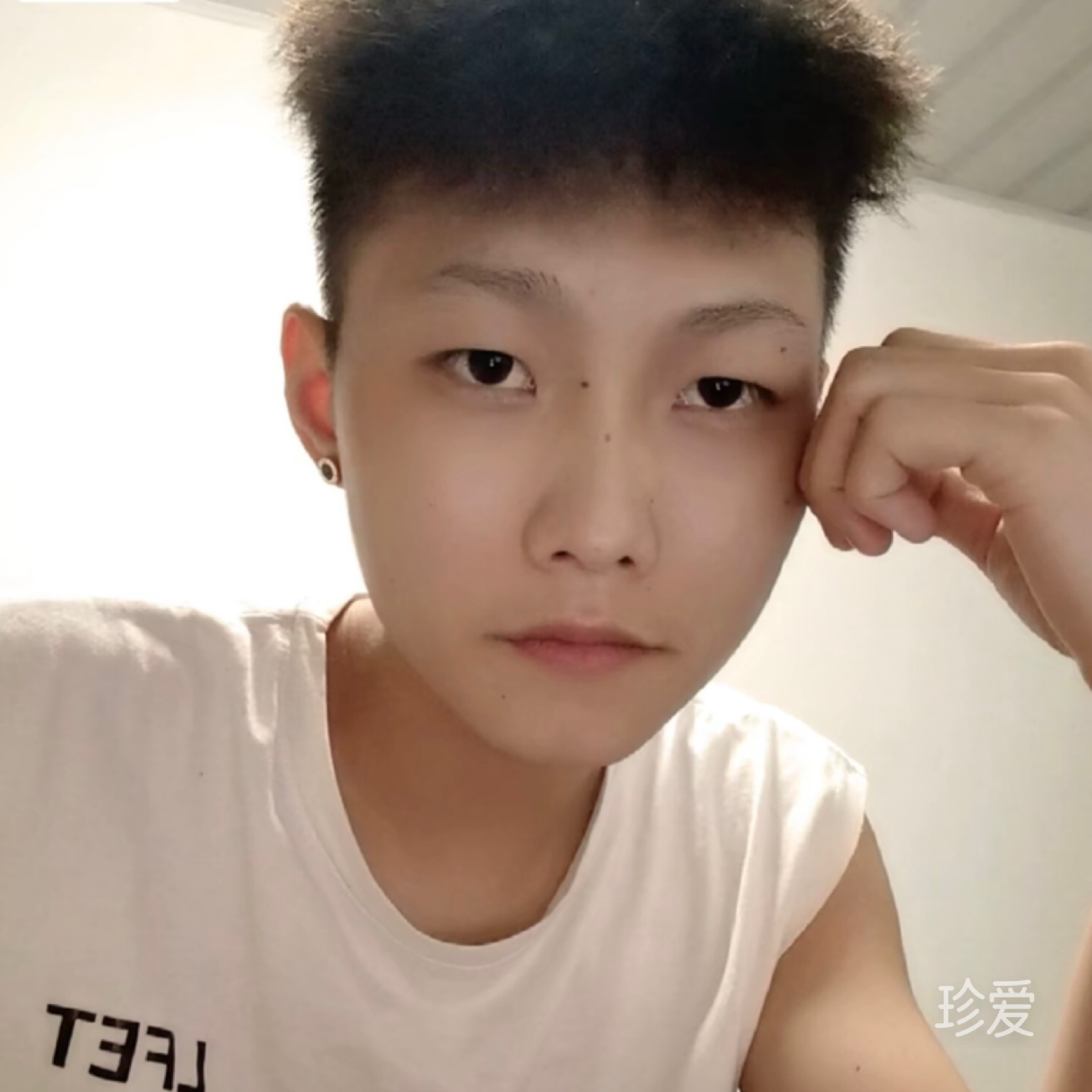 杰尼龟