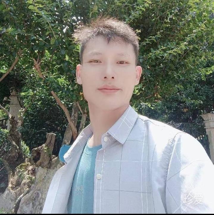 荒漠中的一片叶