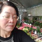 珍惜往后的人生