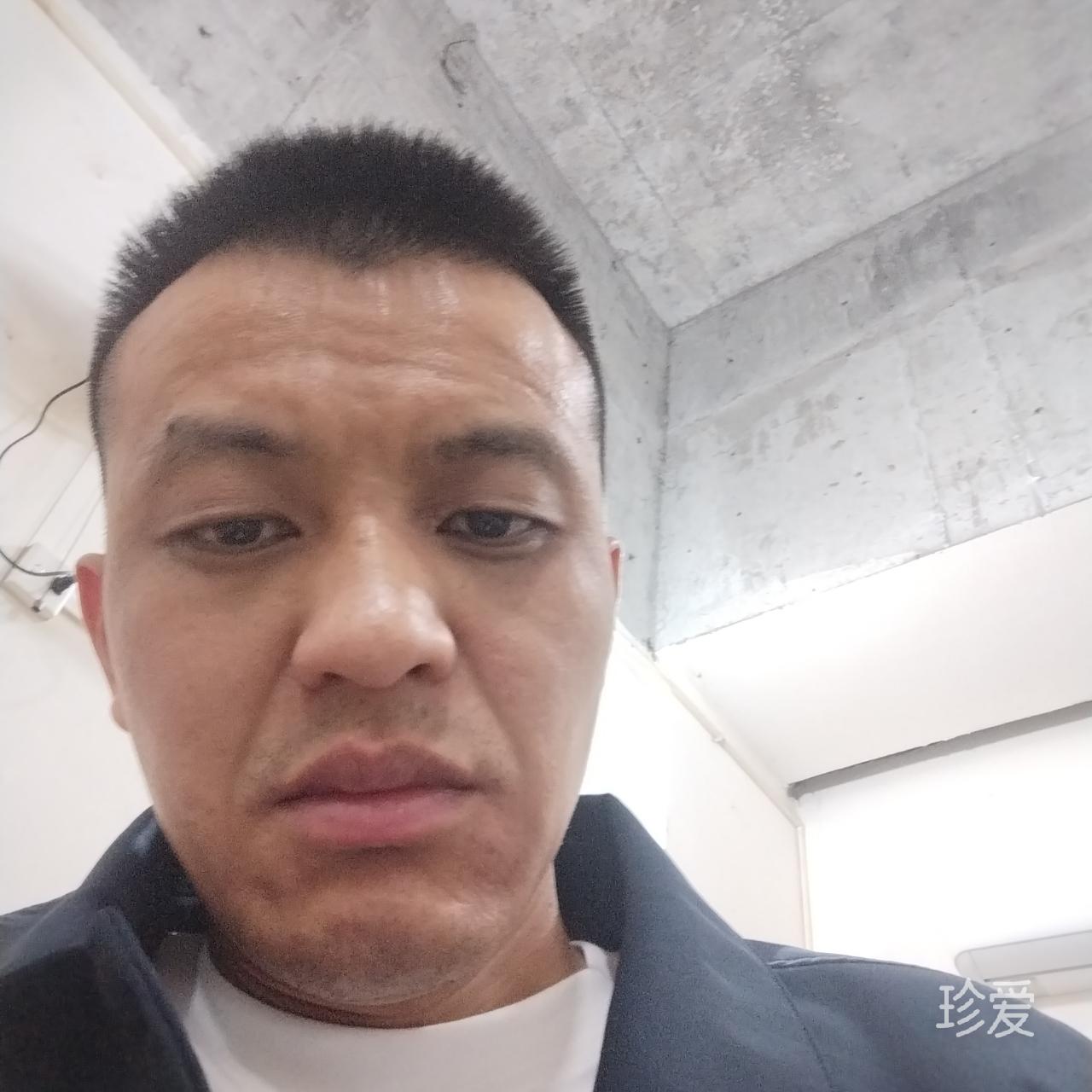 辰哥