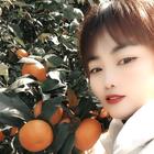 橘子姐姐