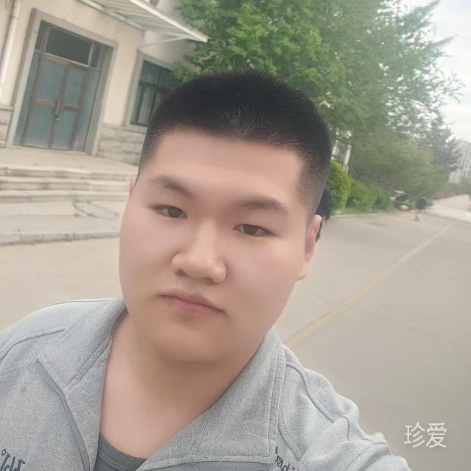 穿过树丛的阳光