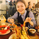 心向自由的蟲子