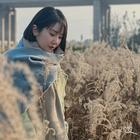 幸福来敲门