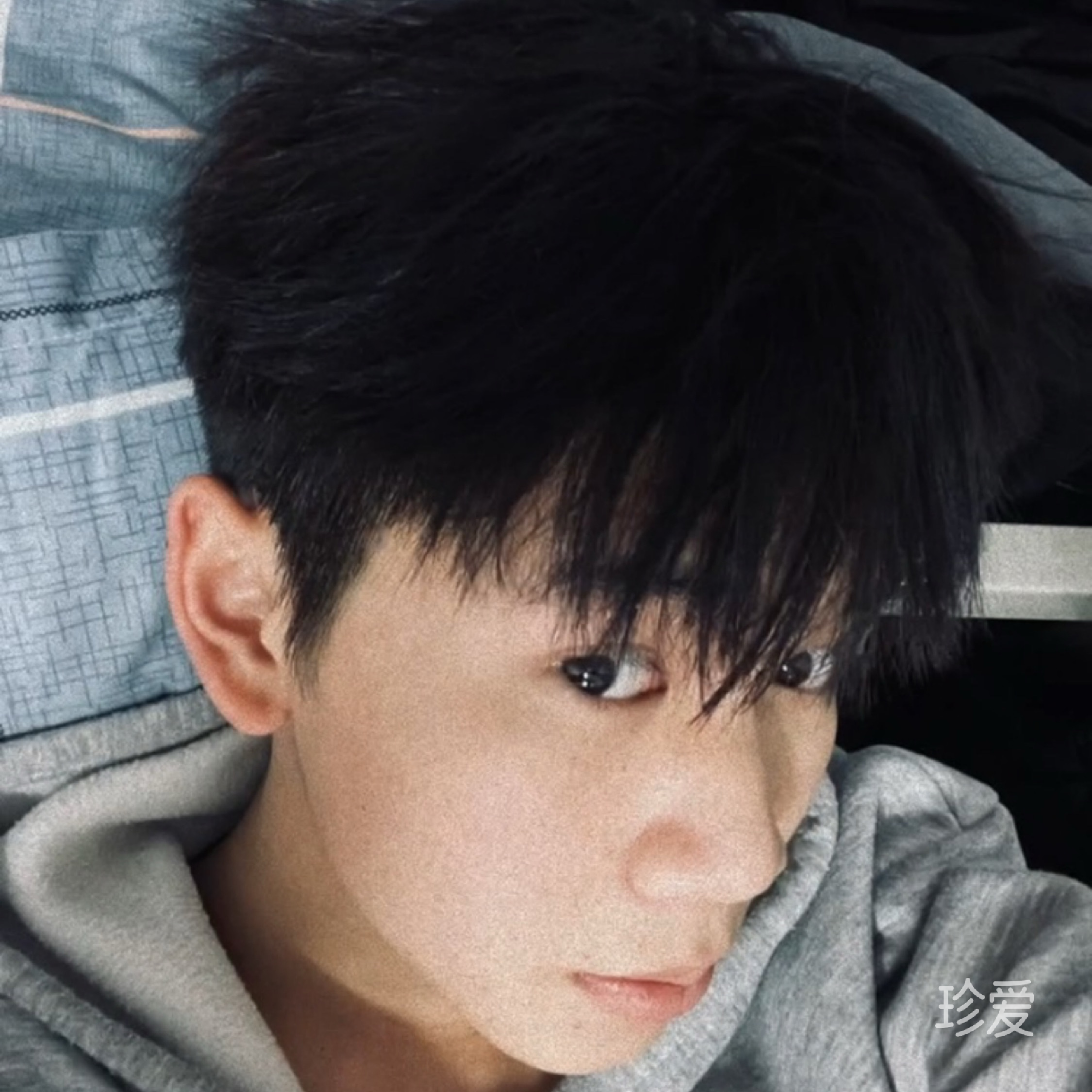 梦似曾见