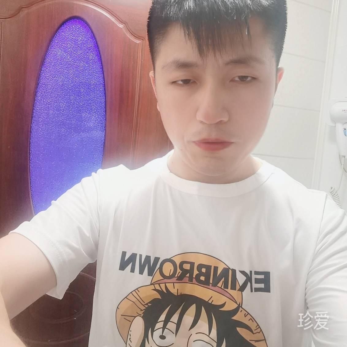 一只萌小猫