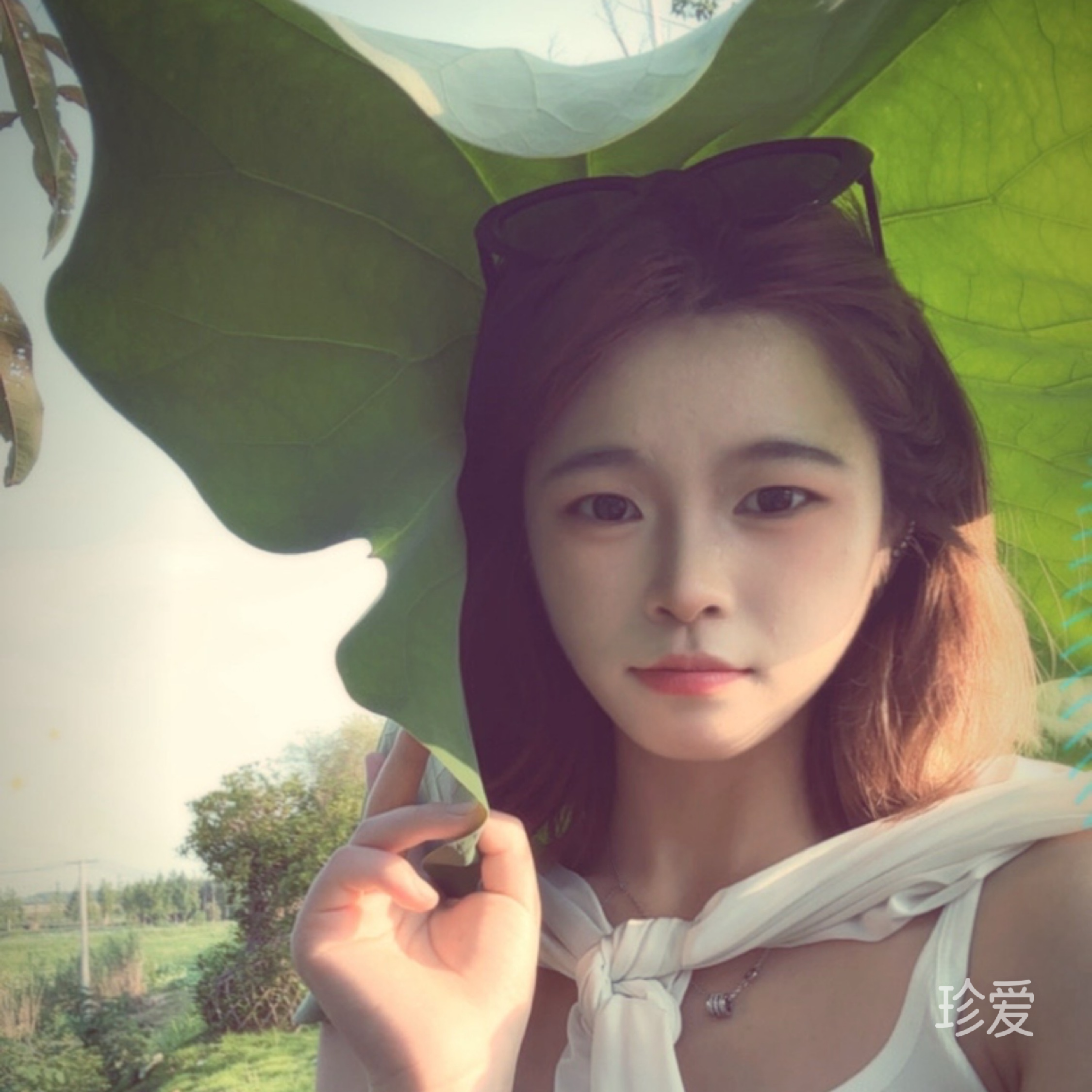 知夏