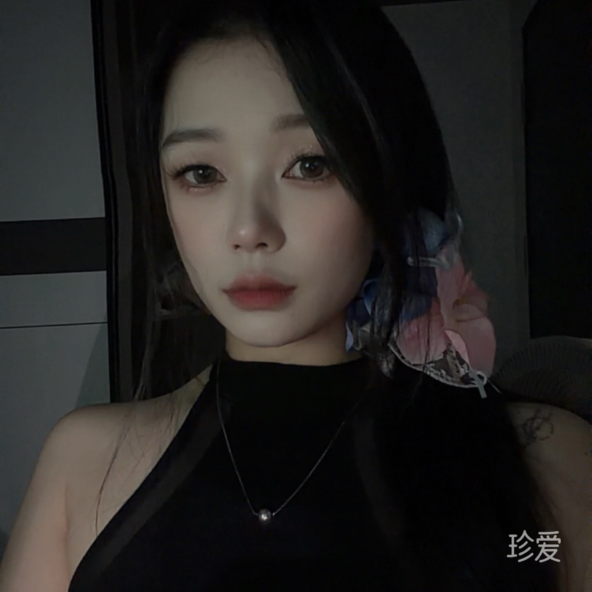 没会员回复不了