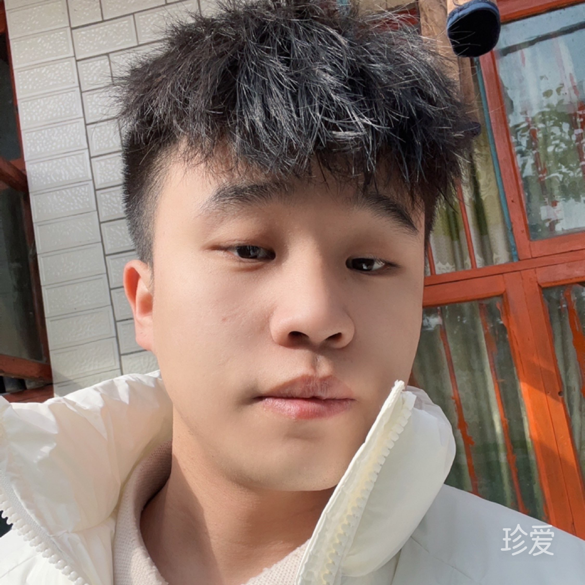 愛薏隨風(fēng)起