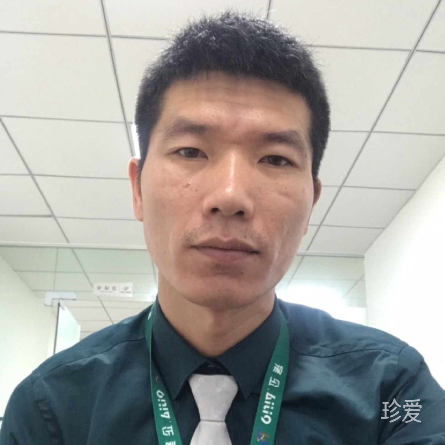 考拉是只无尾熊