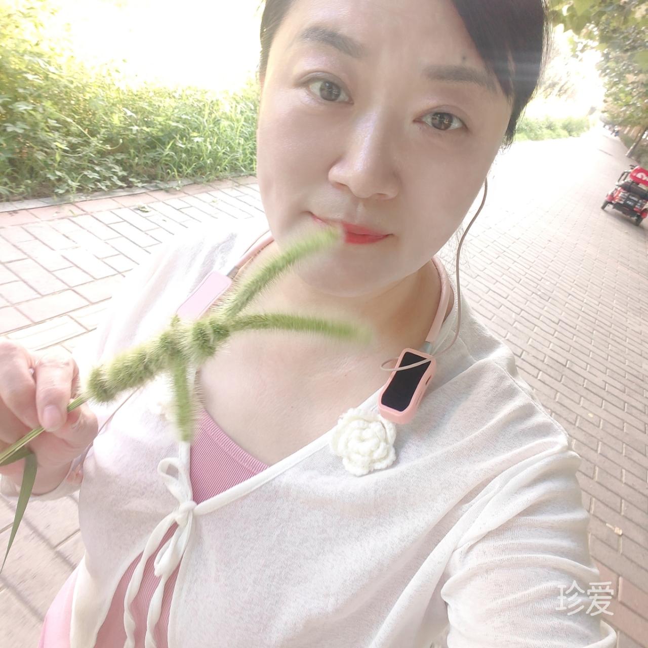 子叶