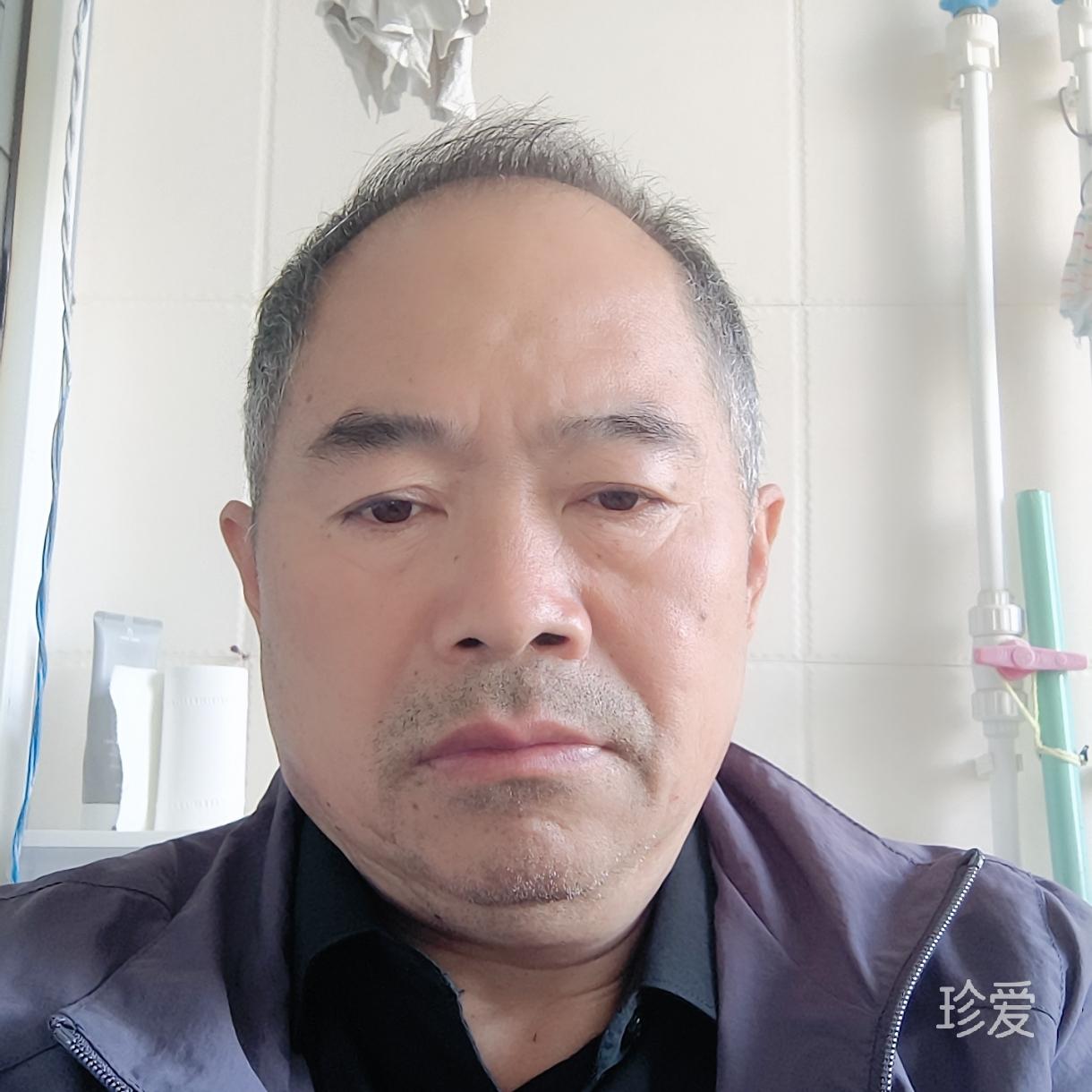 听琴如雨