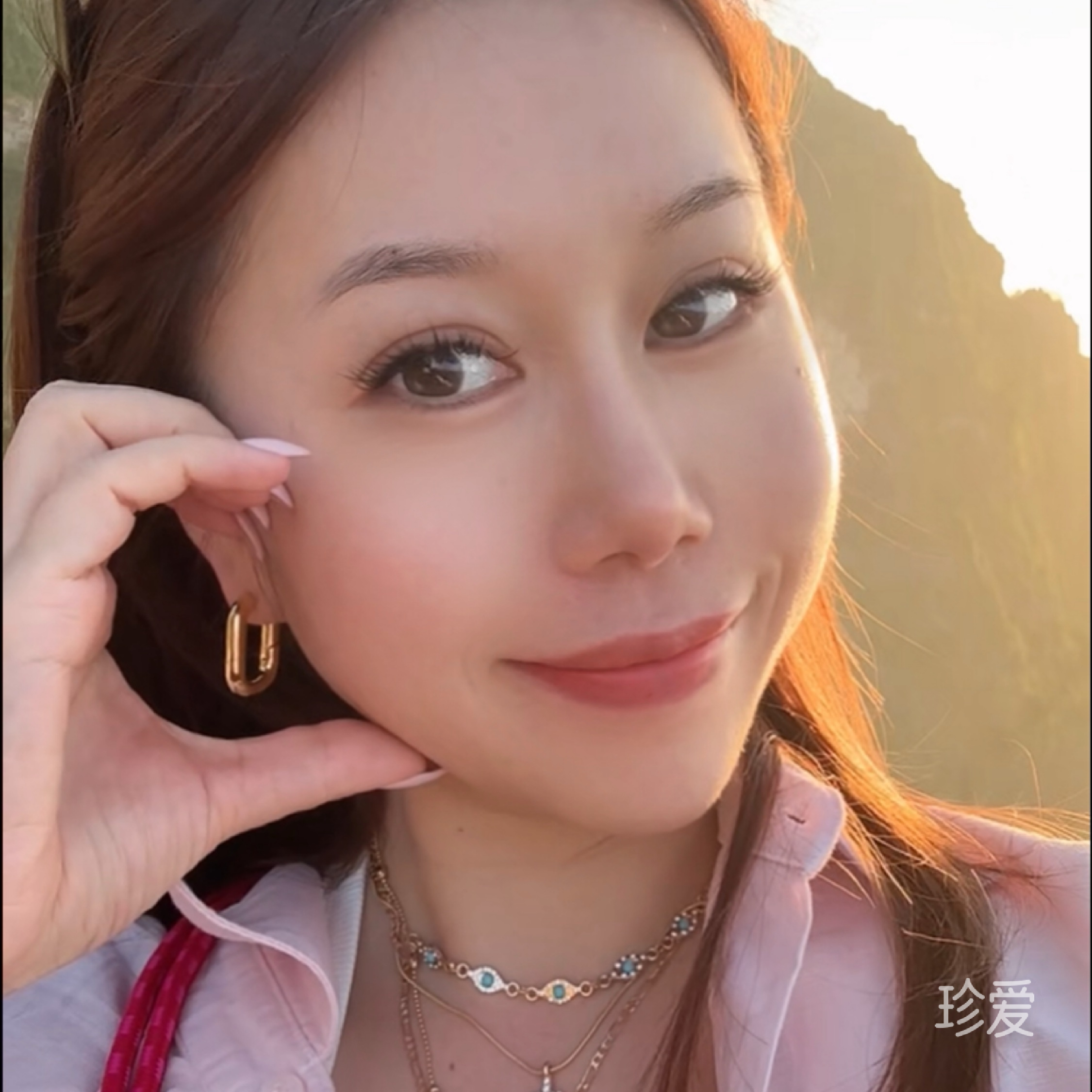 柴柴