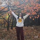 風(fēng)中的蒲公英