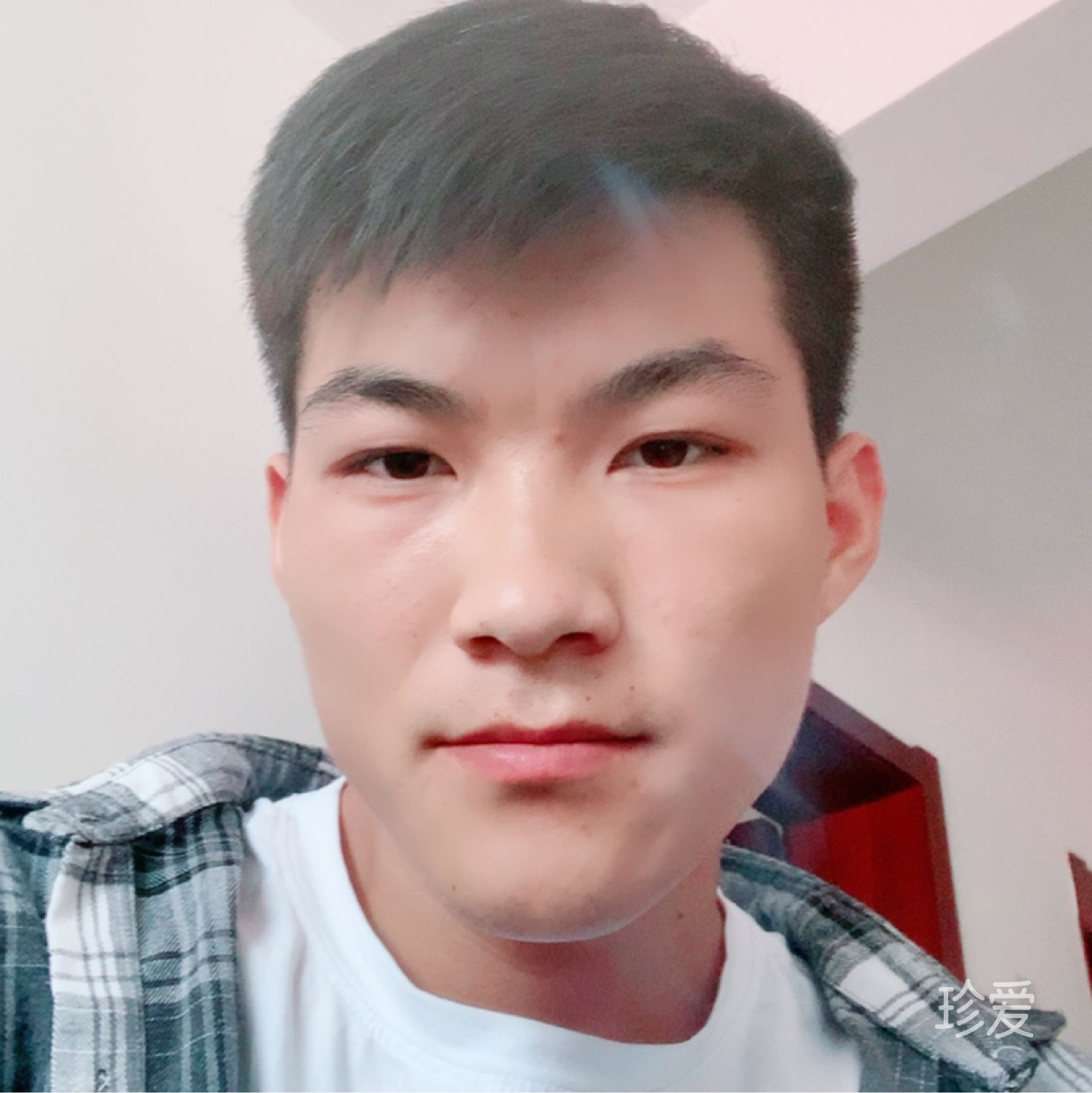 精灵灵