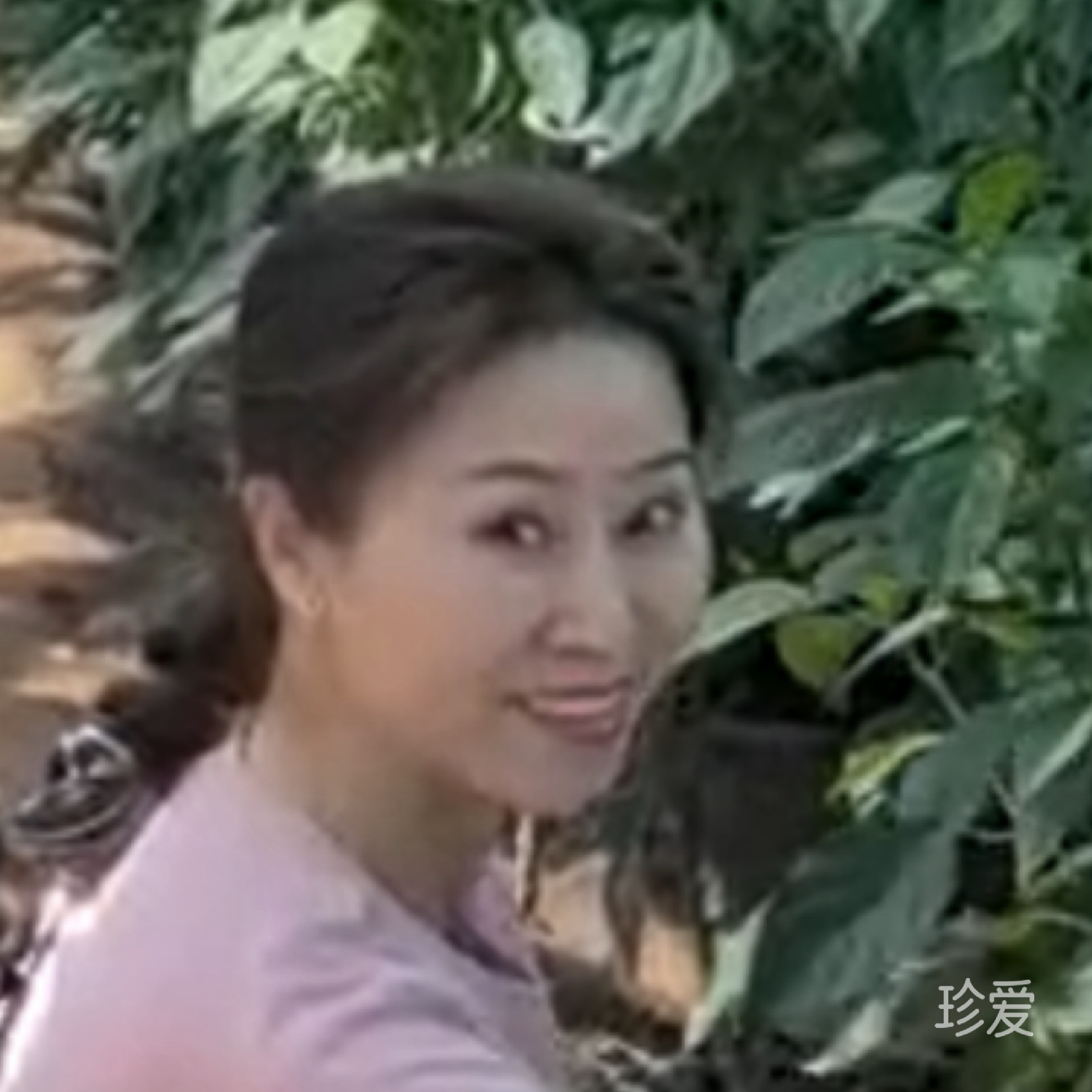 月之灵