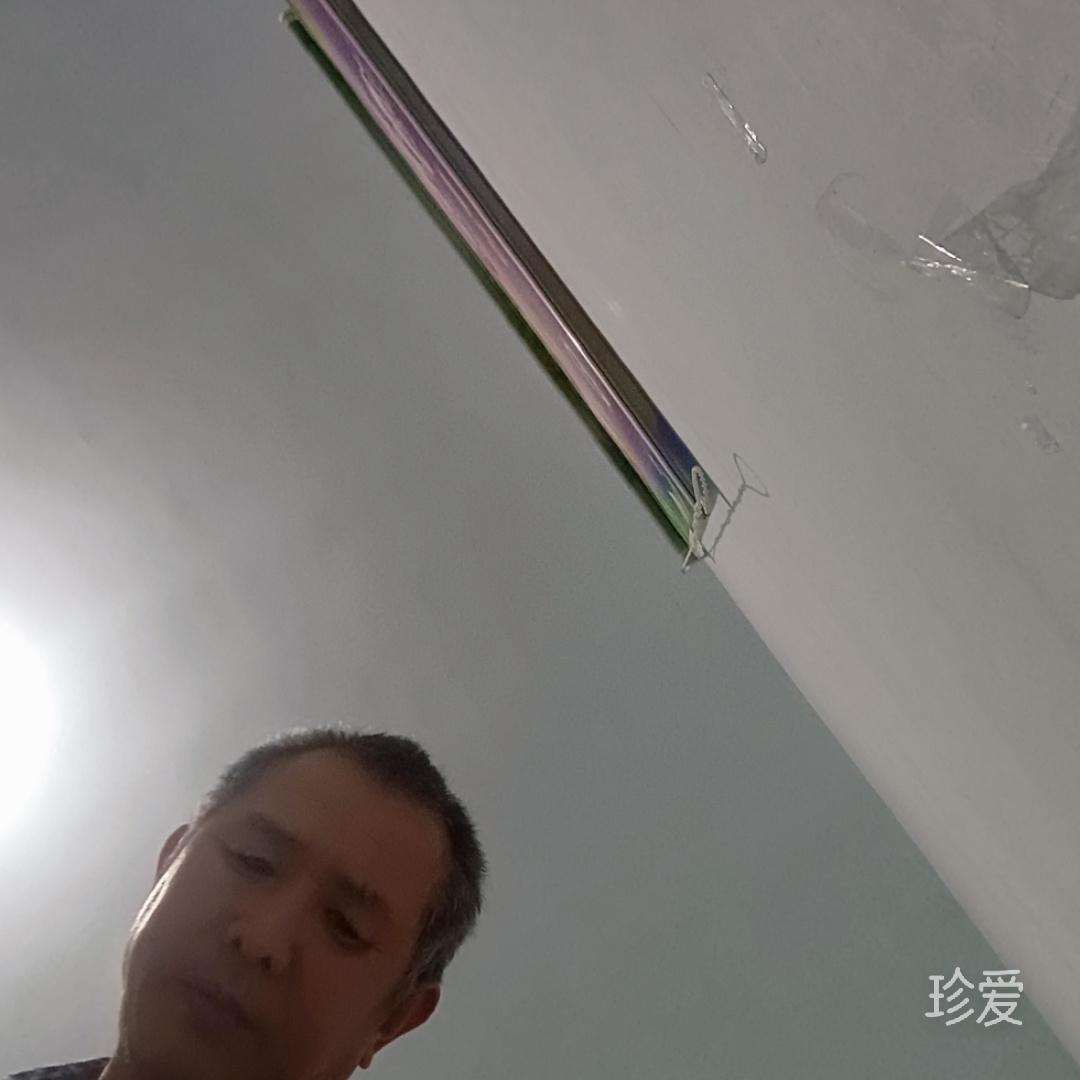 带刺的蔷薇