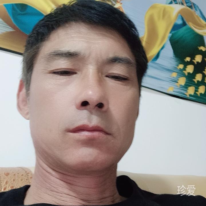 寂寞的梧桐半生独