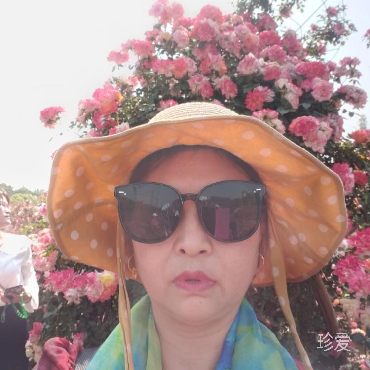 风雨中的向日葵