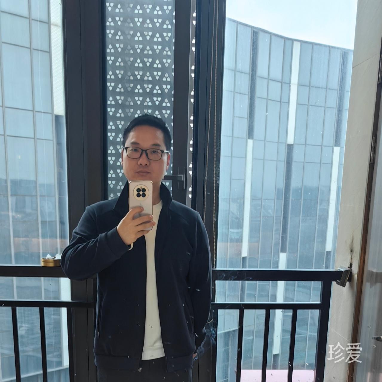 一城柳絮吹成雪