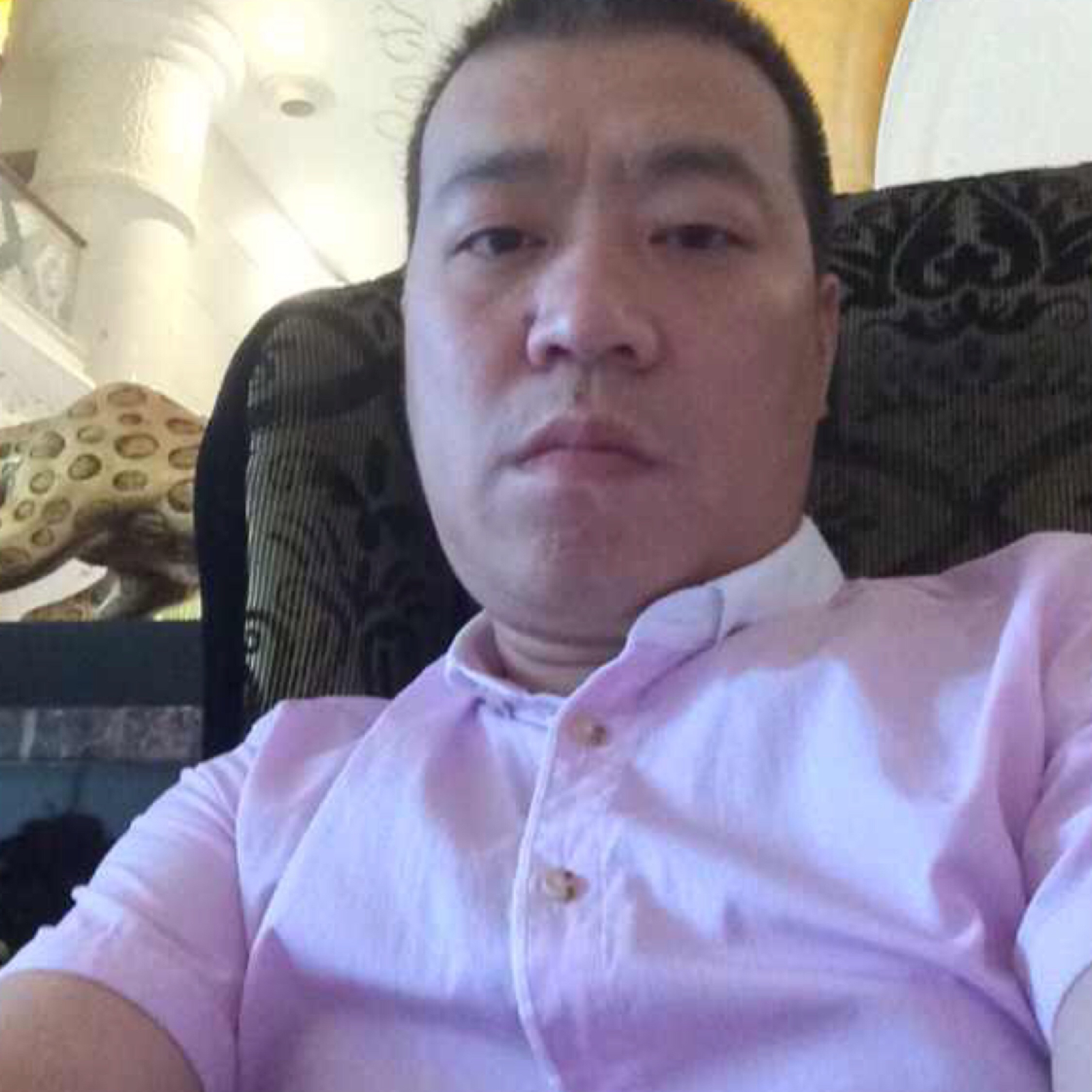 平平淡淡才是真