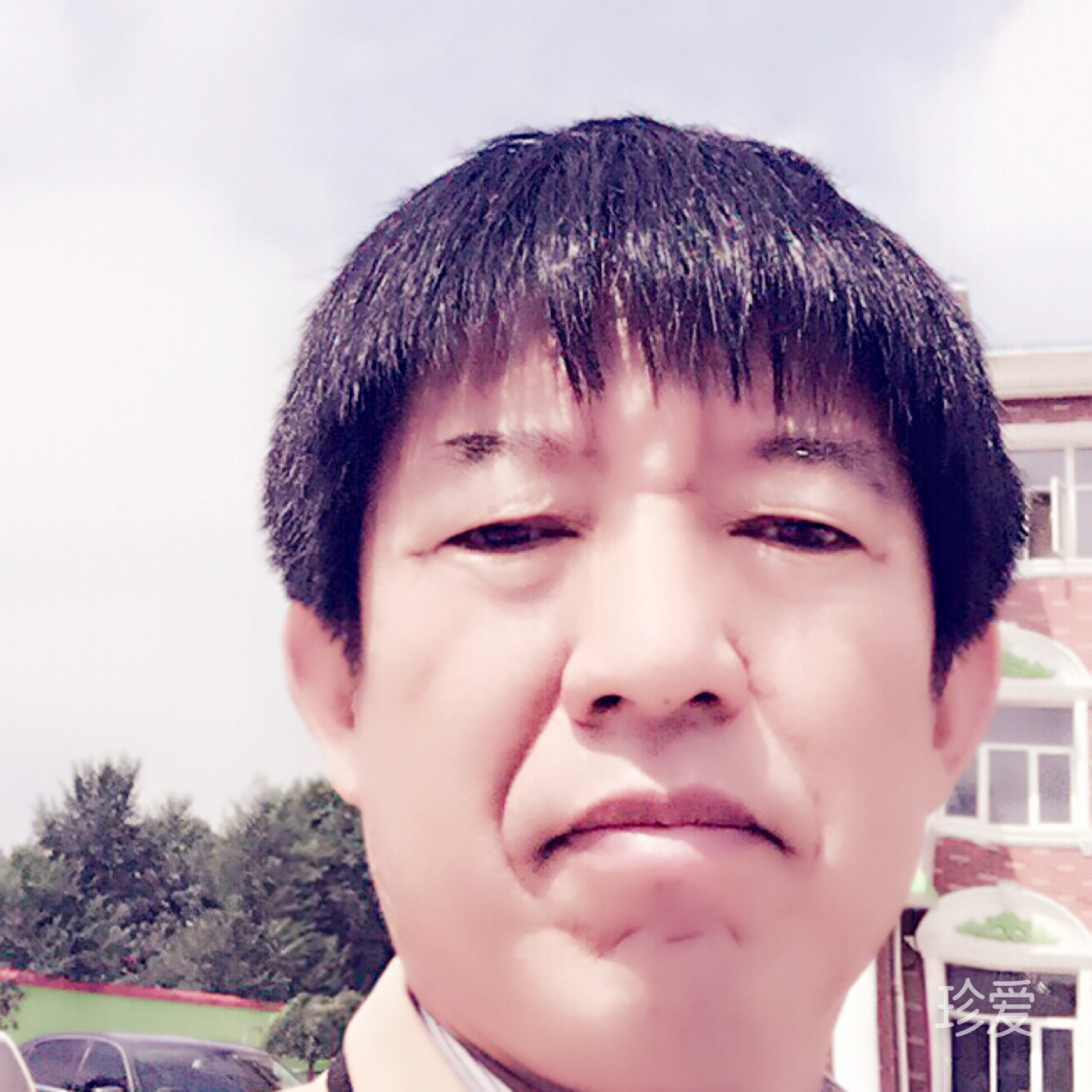 梦之蓝