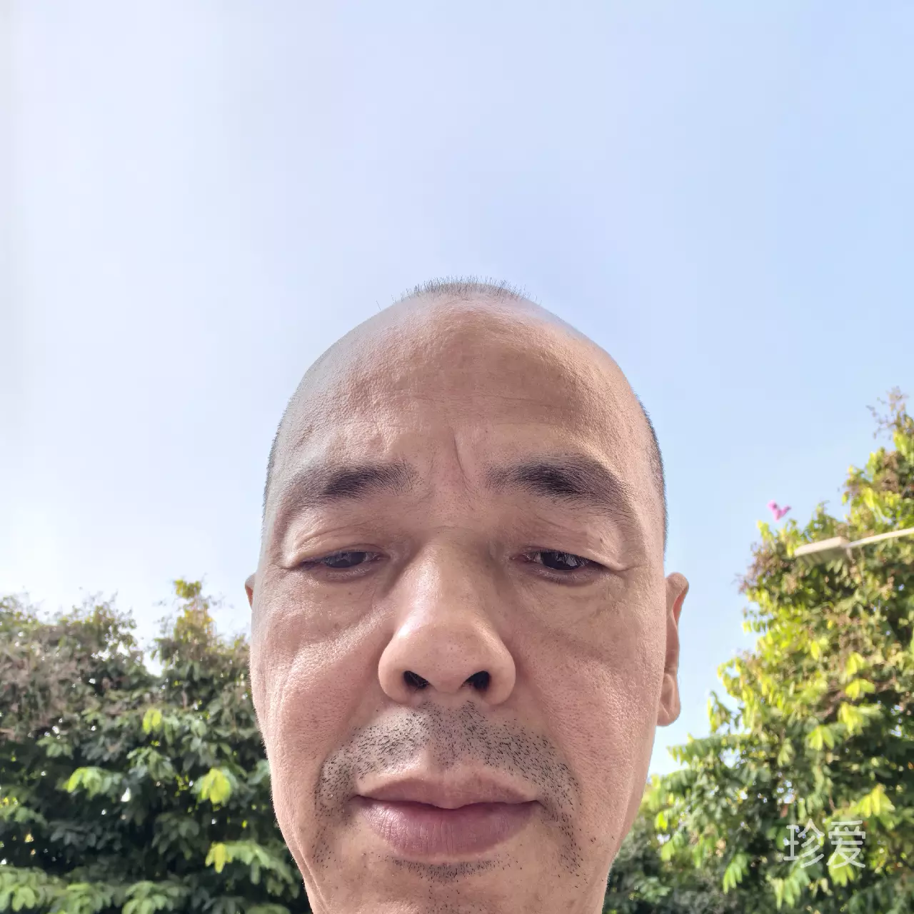 大璐