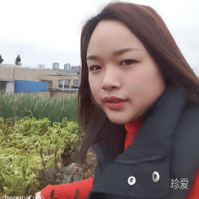 午夜阳光