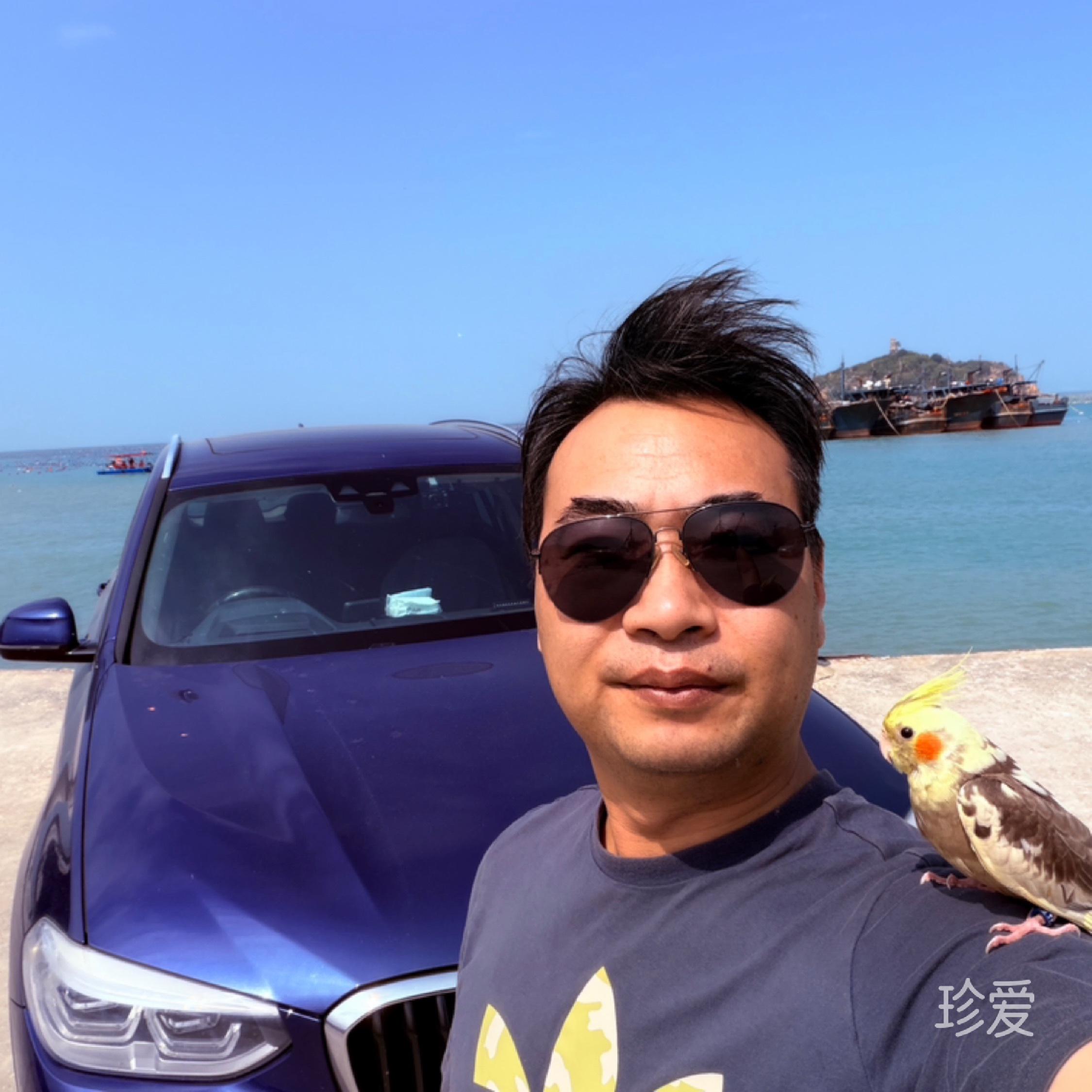 黑夜的阳光