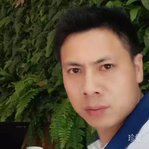 勇敢的心