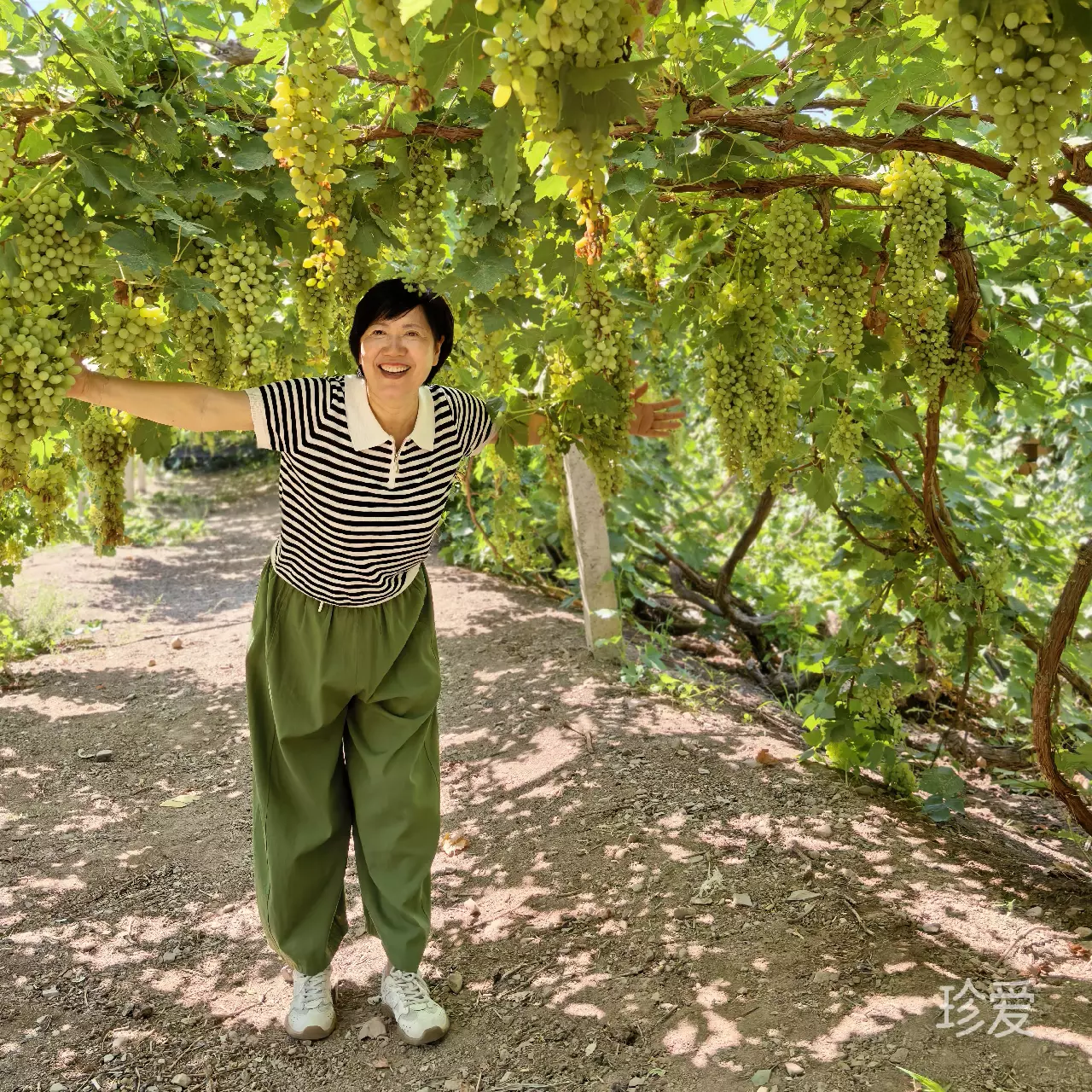 霓虹独影