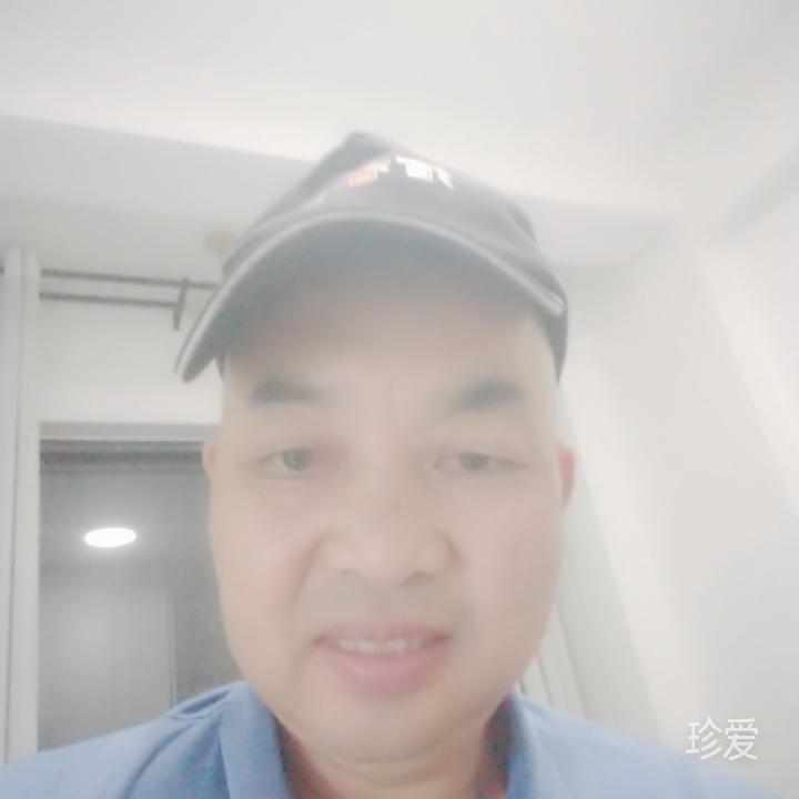 一片一片