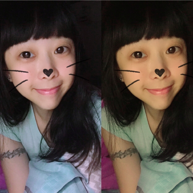 夢中迷路的麋鹿