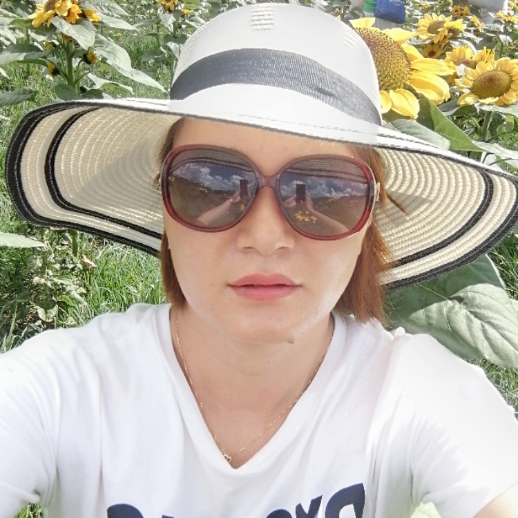 相思樹下等你來