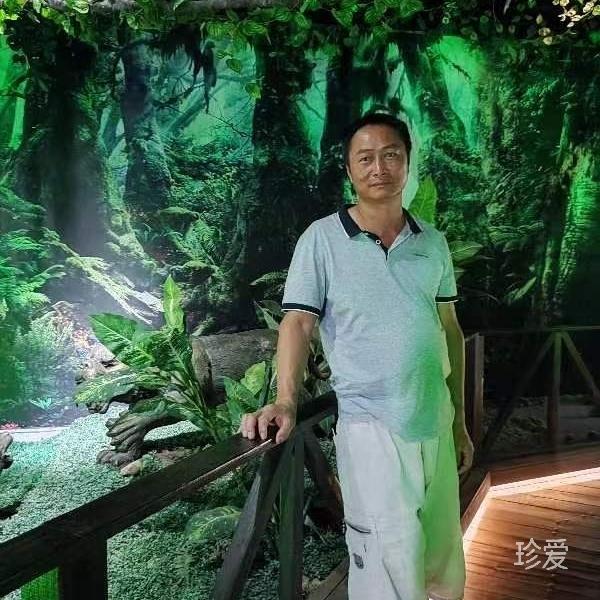 清风无影