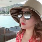 盛夏的貓