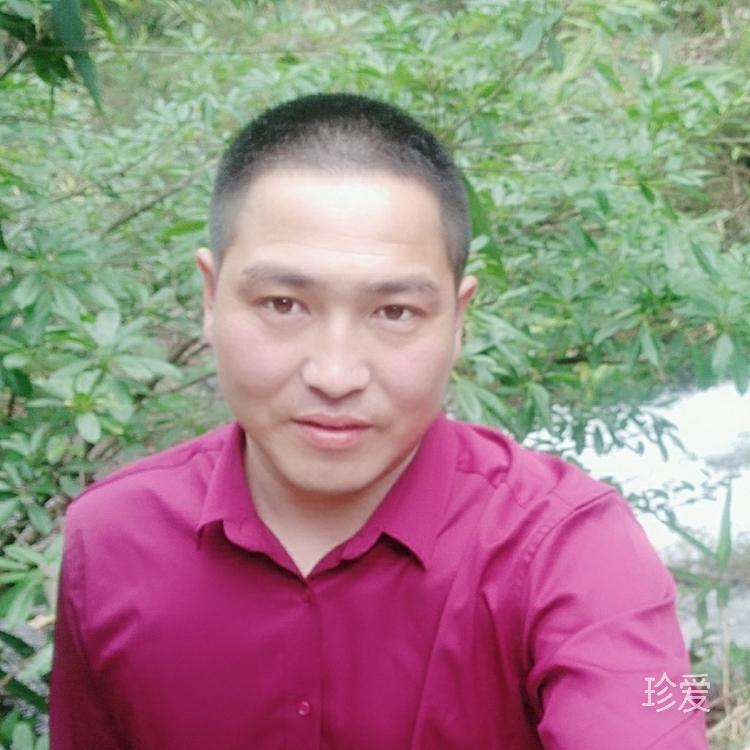 只为这份爱