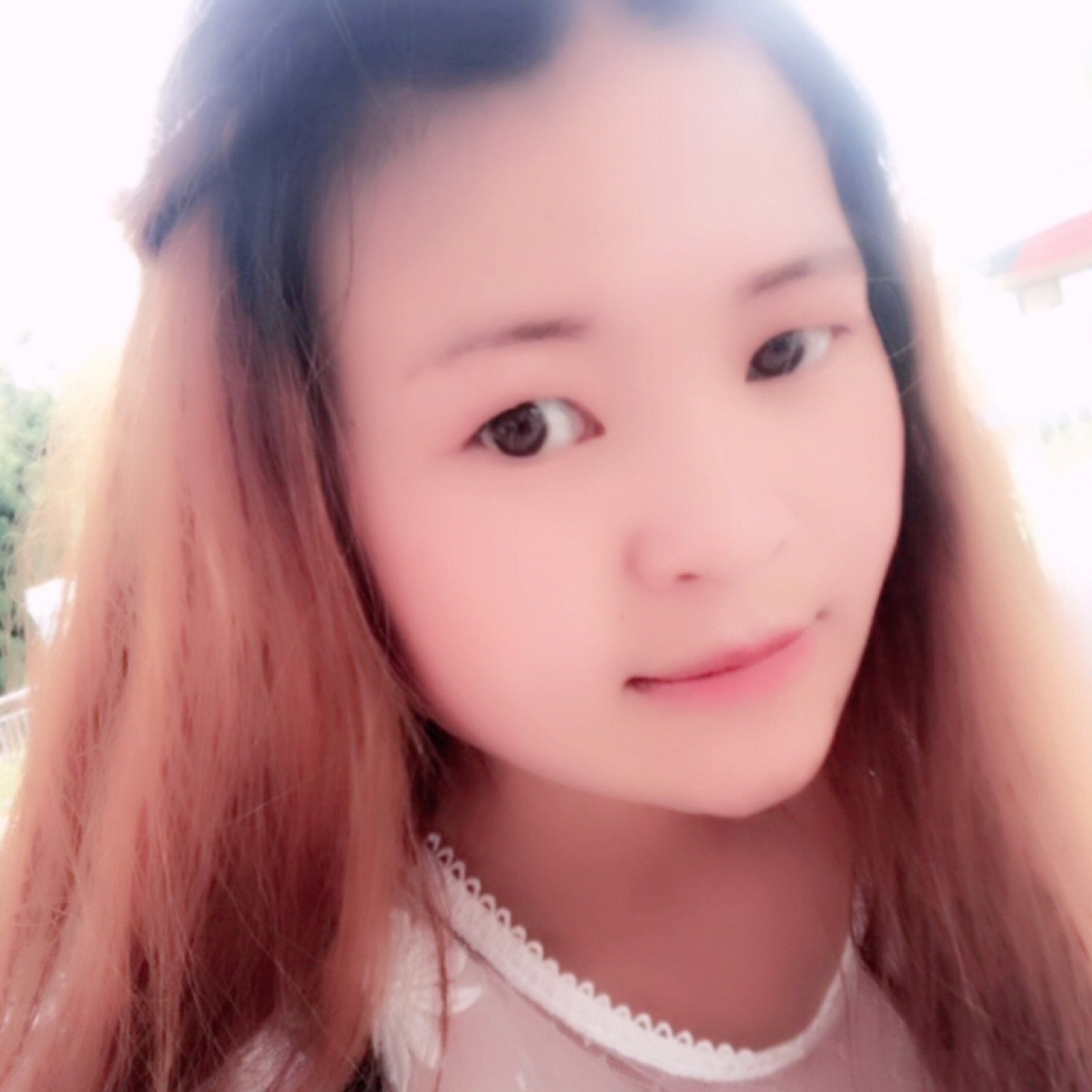 冰叶羽