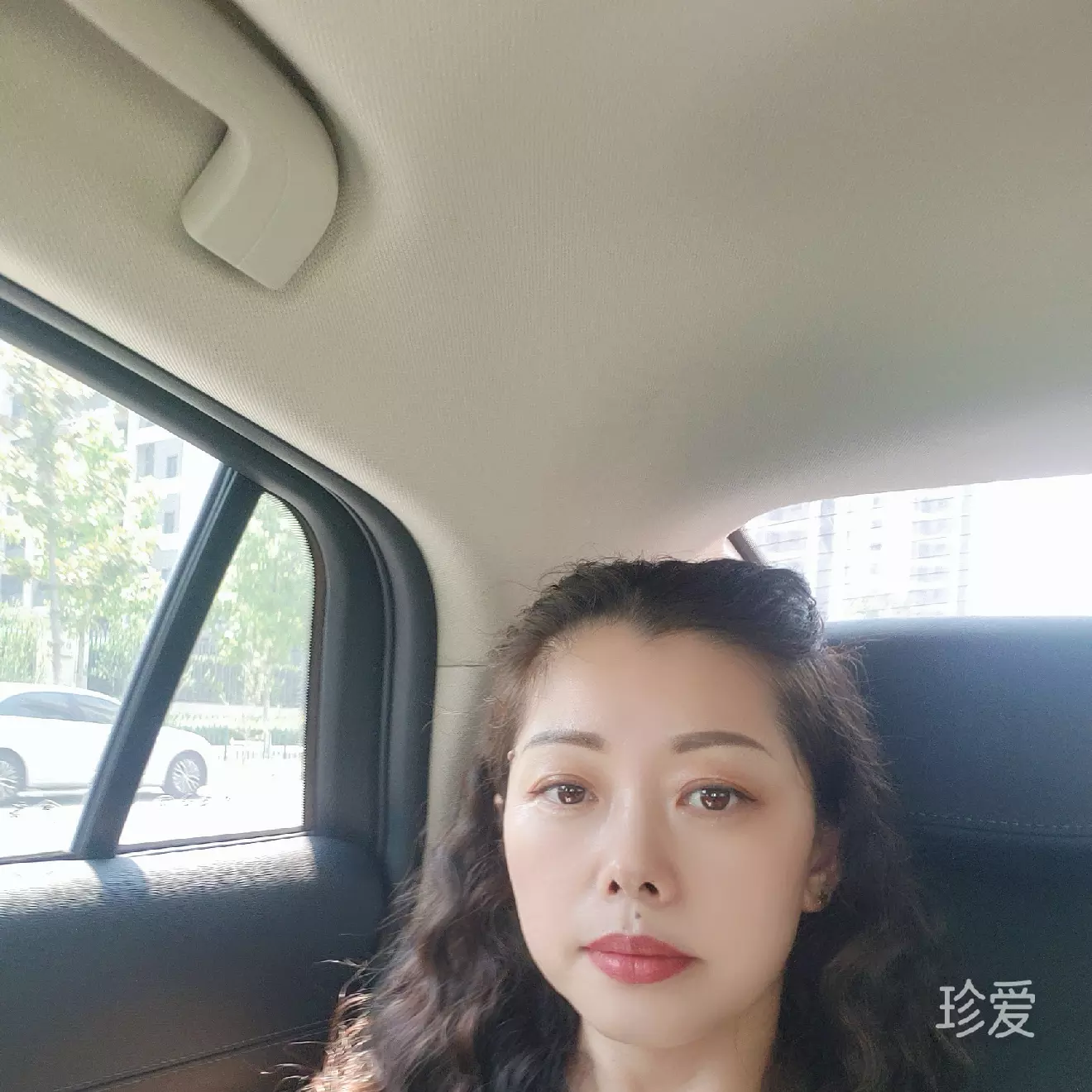 飞翔的燕子