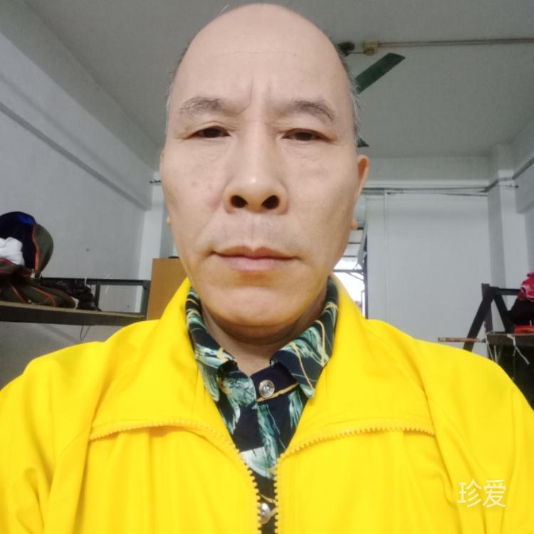 丛林雨水
