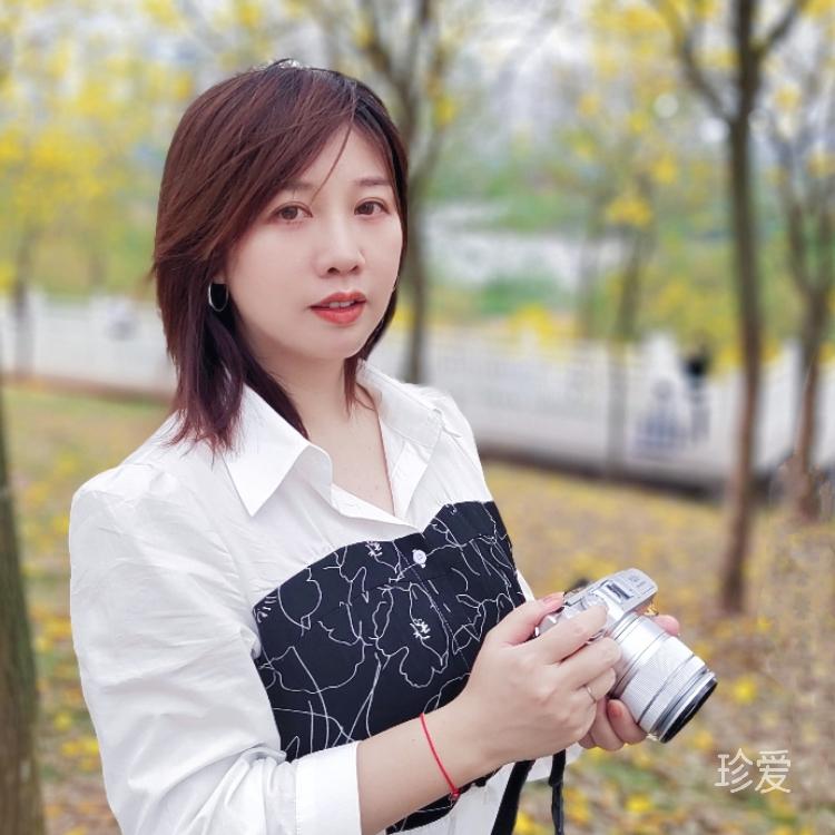 大堡礁的珊瑚鱼