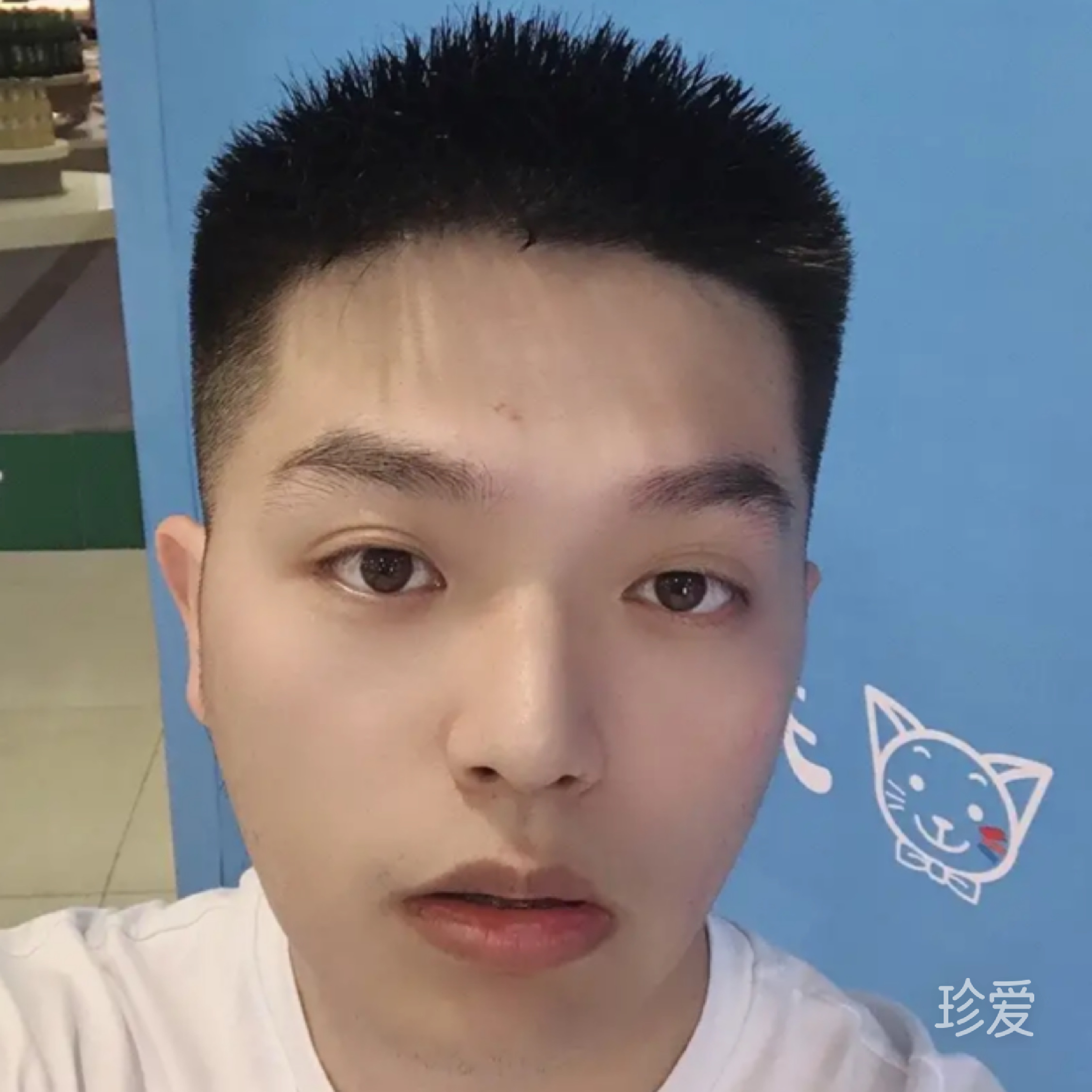 科研