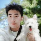 晨光